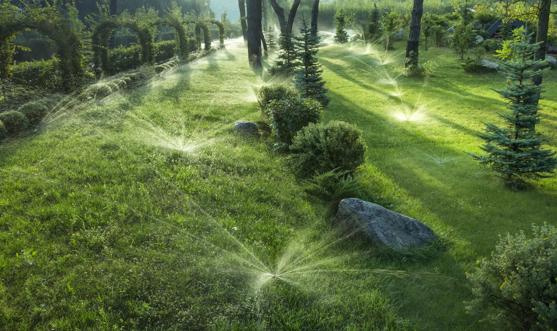 Landscape image placeholder for finished lawn